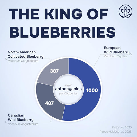 Whole Wild Blueberries Freeze-Dried 4 Ounce Bag