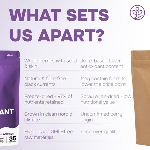 Freeze-dried Organic Black Currant Powder 5 Ounce Bag