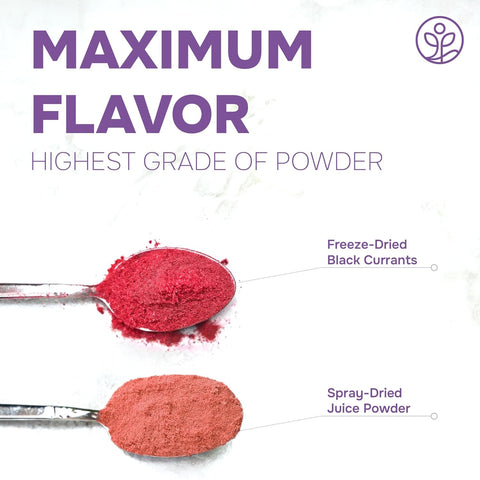 Freeze-dried Organic Black Currant Powder 5 Ounce Bag