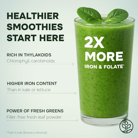 Organic Spinach Powder Freeze-Dried 5 Ounce Bag