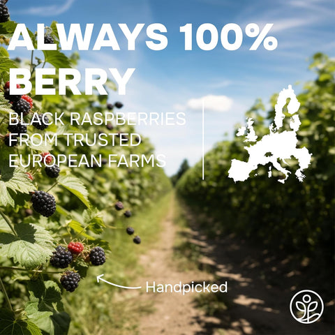 Whole Black Raspberries Freeze-Dried 3.2 Ounce Bag