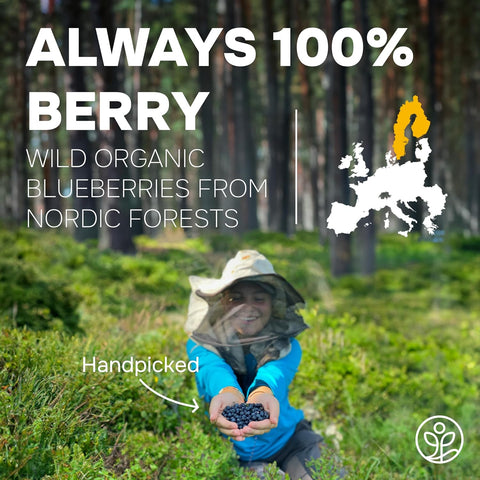 Whole Wild Blueberries Freeze-Dried 4 Ounce Bag