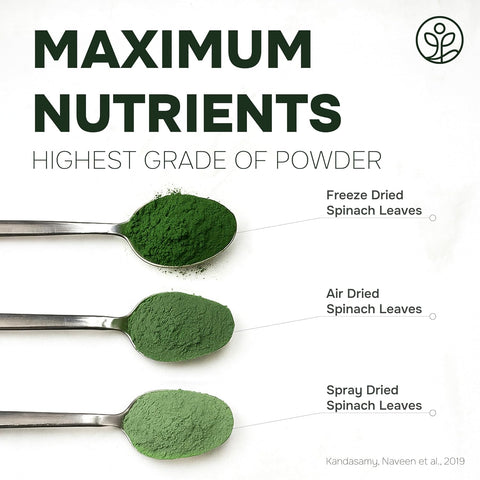 Organic Spinach Powder Freeze-Dried 5 Ounce Bag