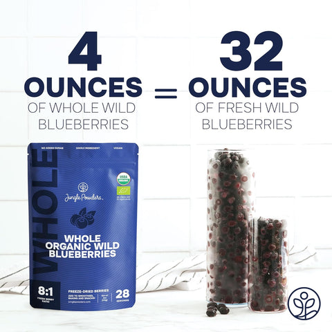 Whole Wild Blueberries Freeze-Dried 4 Ounce Bag