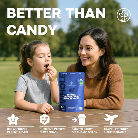 Whole Wild Blueberries Freeze-Dried 4 Ounce Bag