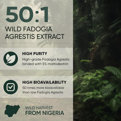 Fadogia Agrestis Extract for Men 50:1 Concentration 313 Servings 5 Ounce Bag