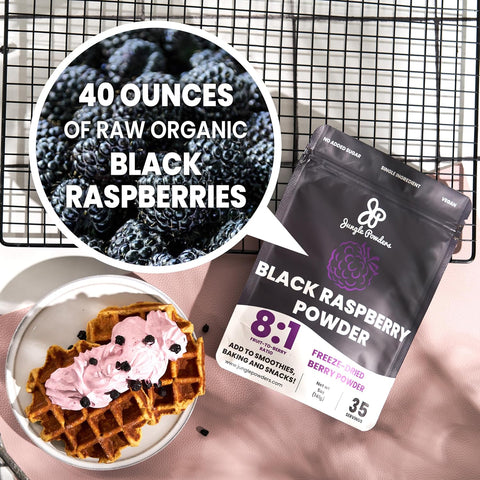 Black Raspberry Powder Freeze-dried 5 Ounce Bag