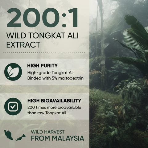 Tongkat Ali Powder for Men 200:1 Extract 5 Ounce Bag
