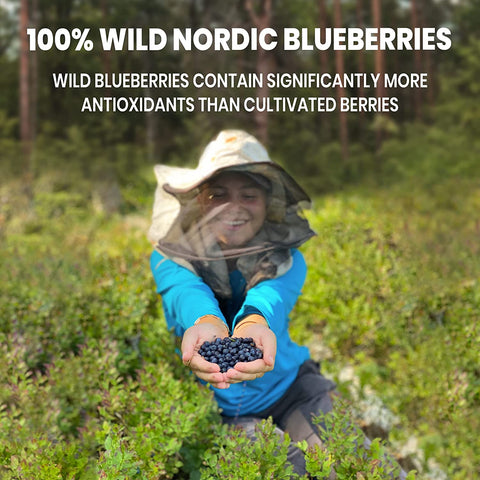 Wild Blueberry Powder Freeze-Dried