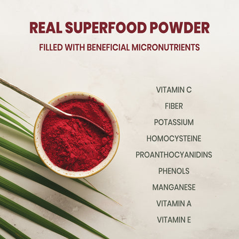 Jungle Powders Freeze-Dried Wild Cranberry Powder 3.5 Ounce / 100g Bag From Whole Wild Cranberries