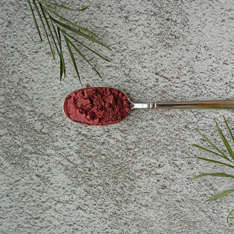 Black Currant Powder Freeze-dried 5 Ounce Bag
