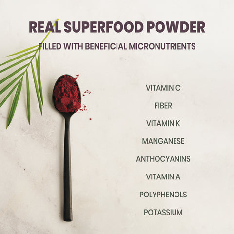 Blackberry Powder Freeze-dried