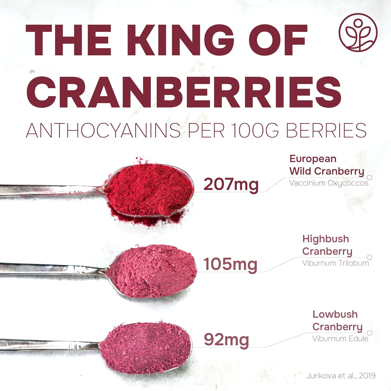 Wild Cranberry Powder Freeze-Dried 3.5 Ounce Bag – Jungle Powders