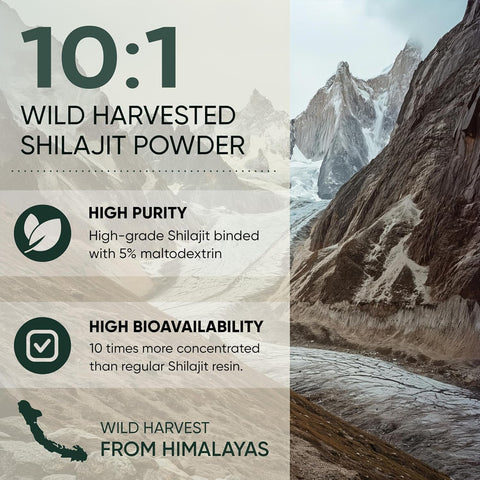 Shilajit Powder 10:1 Extract 5 Ounce Bag