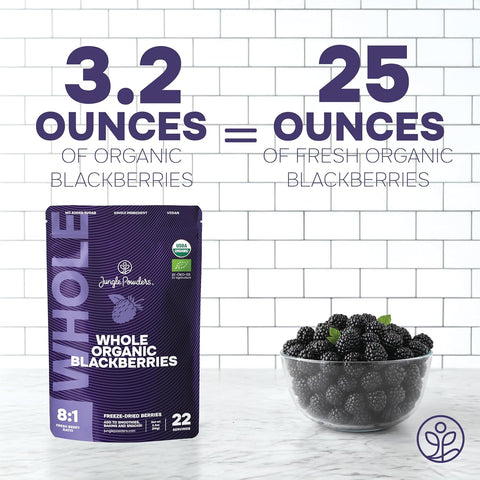 Organic Blackberries Freeze-Dried 3.2 Ounce Bag - USDA Certified