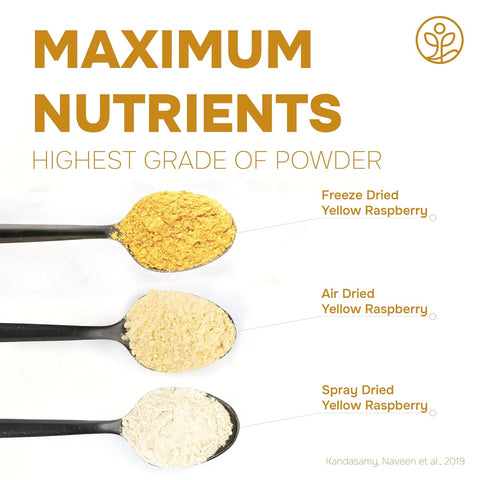 Yellow Raspberry Powder Freeze-Dried 5 Ounce Bag