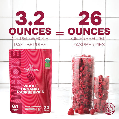 Organic Raspberries Freeze-Dried 3.2 Ounce Bag - USDA Certified