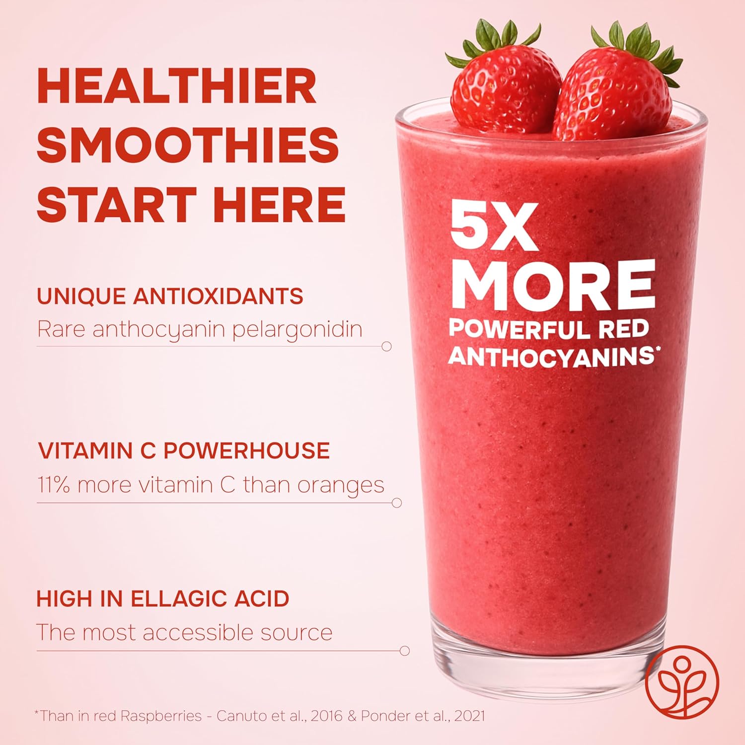 Strawberry Powder Freeze-dried