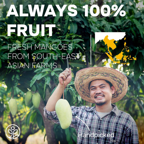 Organic Mango Powder Freeze-dried 5 Ounce Bag