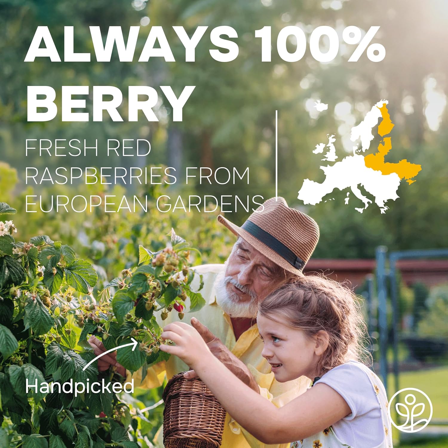 Organic Raspberry Powder Freeze-Dried 5 Ounce Bag