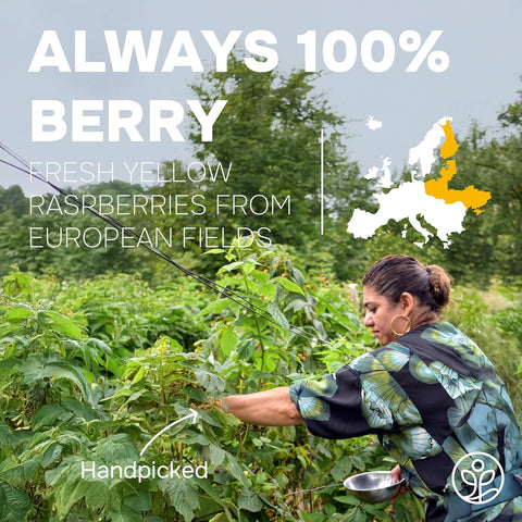 Yellow Raspberry Powder Freeze-Dried 5 Ounce Bag