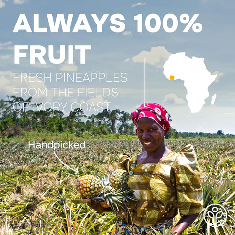 Organic Pineapple Powder Freeze-Dried 5 Ounce Bag