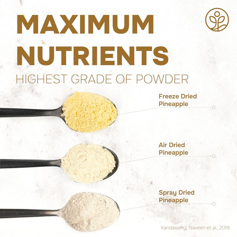 Organic Pineapple Powder Freeze-Dried 5 Ounce Bag