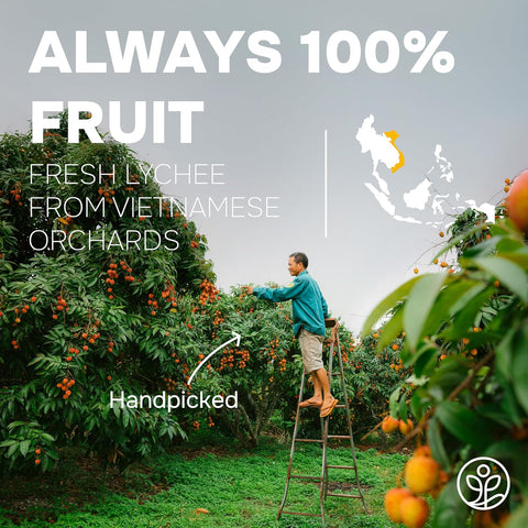 Lychee Fruit Powder Freeze-dried 5 Ounce Bag