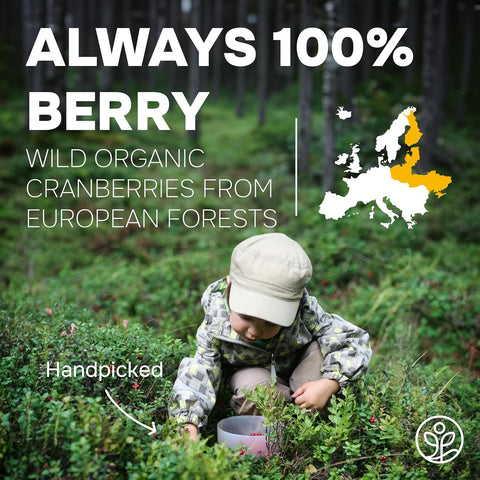 Organic Wild Cranberry Powder Freeze-dried 5 Ounce Bag