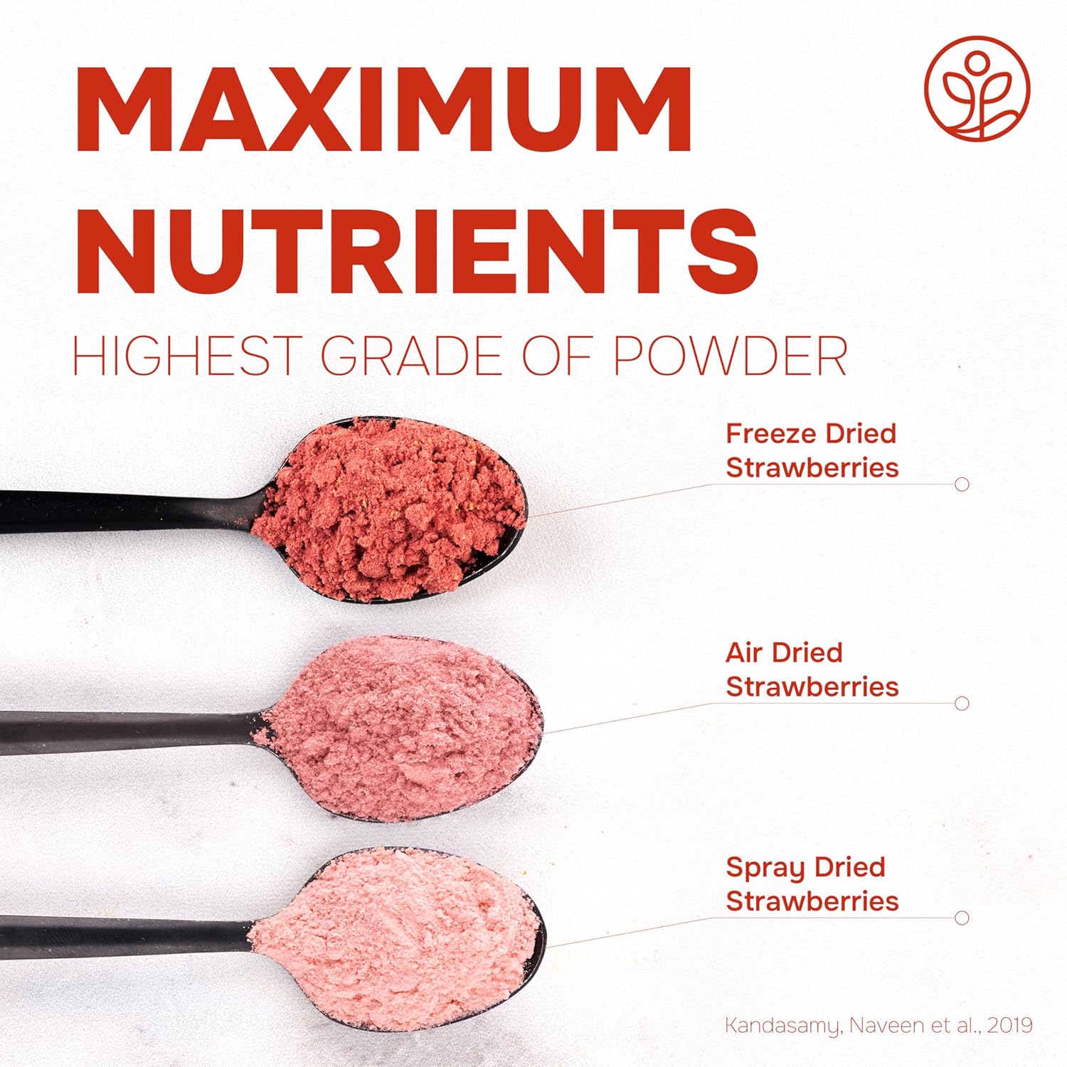 Strawberry Powder Freeze-dried