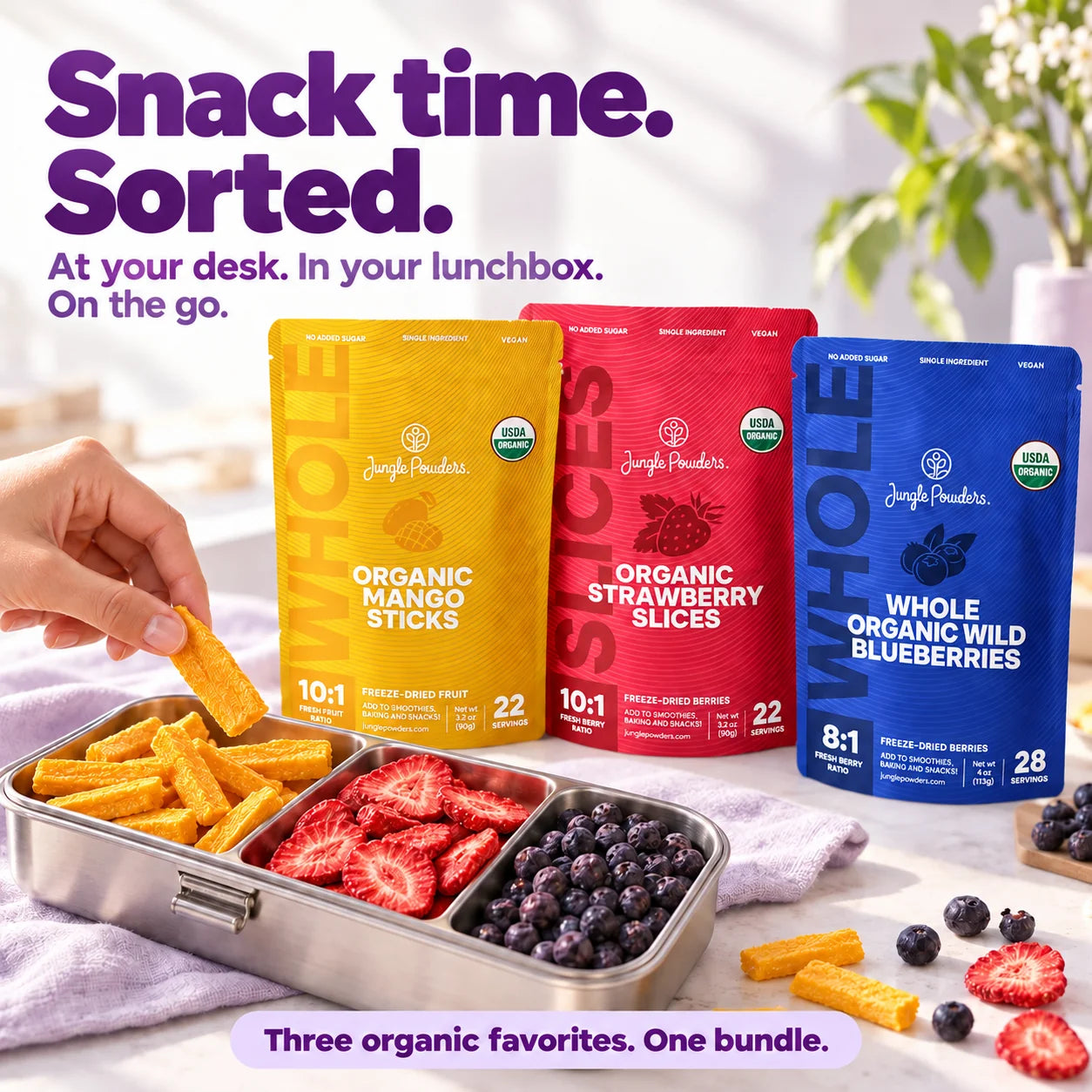 Organic Fruit & Berry Snack Bundle