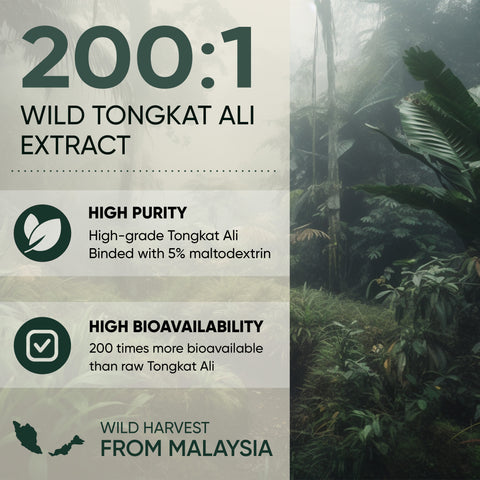 Jungle Powders Tongkat Ali for Men 200:1 Extract 5 Ounce / 141g Bag, 282 Servings, Contains 5% Maltodextrin for The Stabilization of Active Ingredients